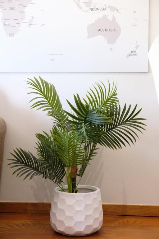 Guestready - A Sunny Delight In Funchal Apartment Екстериор снимка